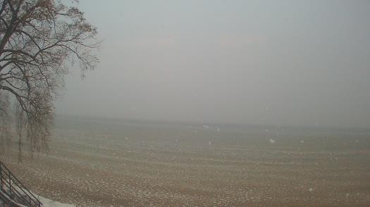 Weather camera view of Forest Lawn Beach.