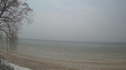 Weather camera view of Forest Lawn Beach.