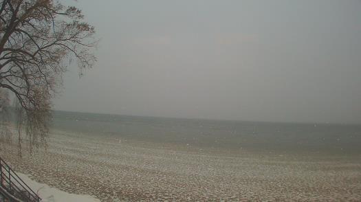 Weather camera view of Forest Lawn Beach.