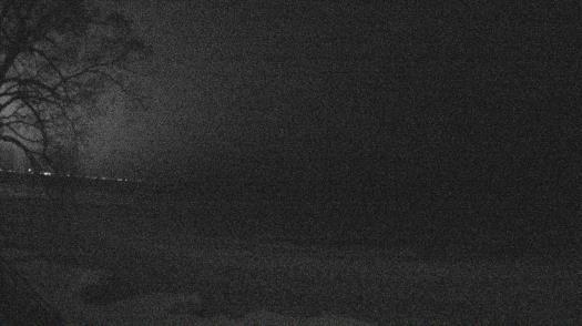 Weather camera view of Forest Lawn Beach.
