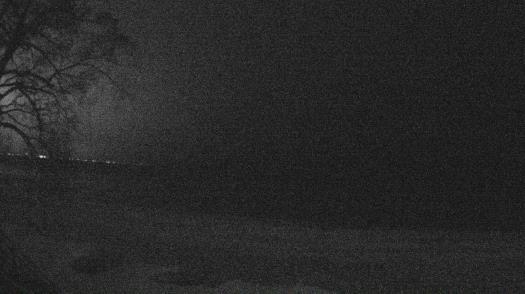 Weather camera view of Forest Lawn Beach.