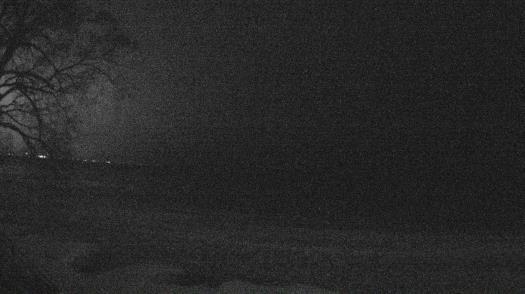 Weather camera view of Forest Lawn Beach.