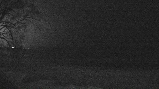 Weather camera view of Forest Lawn Beach.