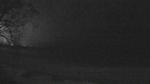 Weather camera view of Forest Lawn Beach.