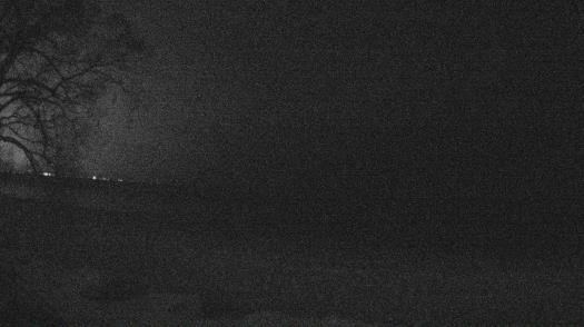 Weather camera view of Forest Lawn Beach.