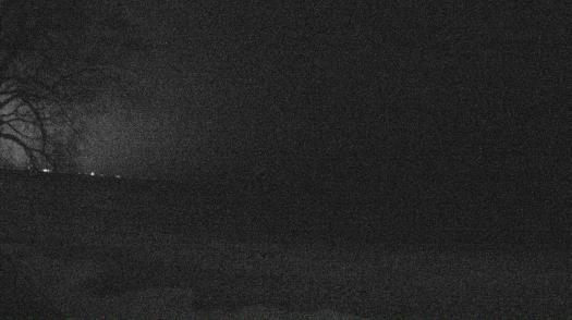 Weather camera view of Forest Lawn Beach.