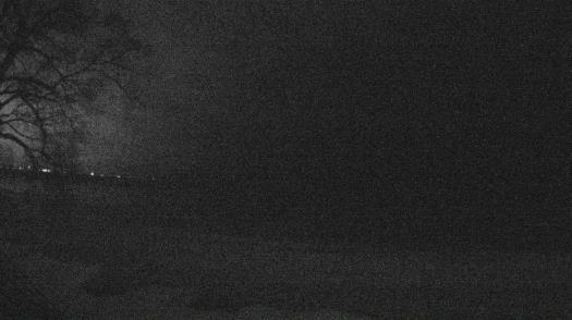 Weather camera view of Forest Lawn Beach.