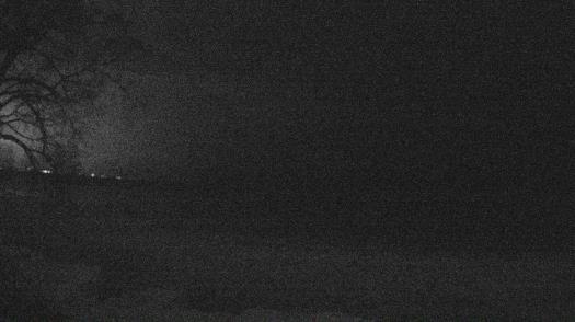 Weather camera view of Forest Lawn Beach.