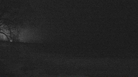 Weather camera view of Forest Lawn Beach.