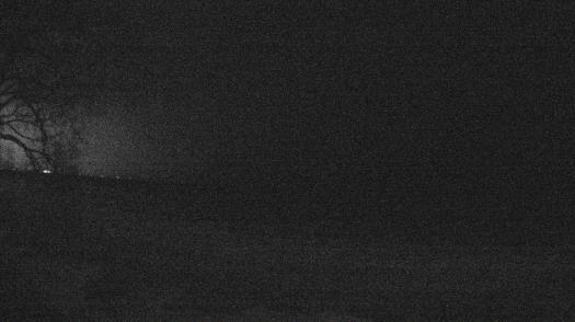 Weather camera view of Forest Lawn Beach.