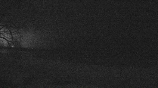 Weather camera view of Forest Lawn Beach.