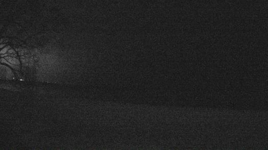 Weather camera view of Forest Lawn Beach.