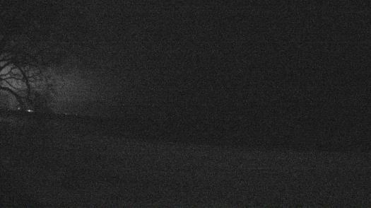 Weather camera view of Forest Lawn Beach.