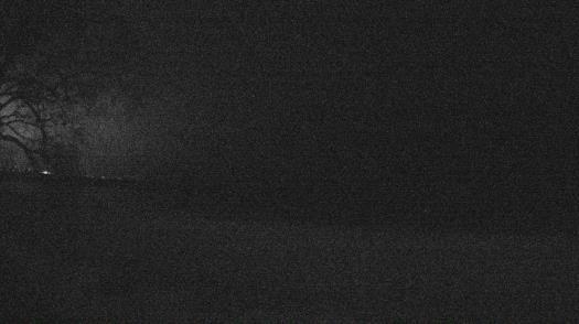 Weather camera view of Forest Lawn Beach.