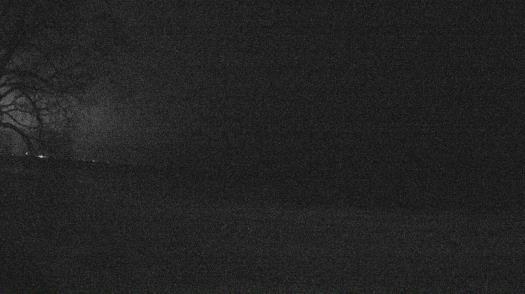 Weather camera view of Forest Lawn Beach.