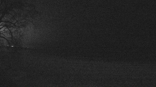 Weather camera view of Forest Lawn Beach.