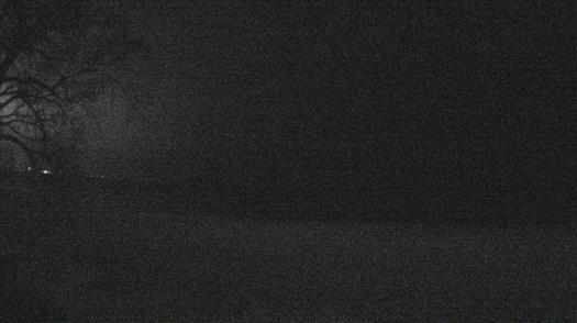 Weather camera view of Forest Lawn Beach.