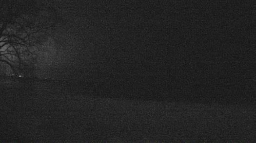 Weather camera view of Forest Lawn Beach.