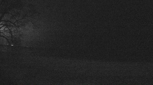 Weather camera view of Forest Lawn Beach.