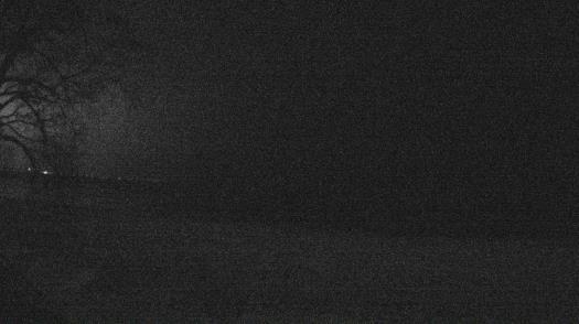 Weather camera view of Forest Lawn Beach.