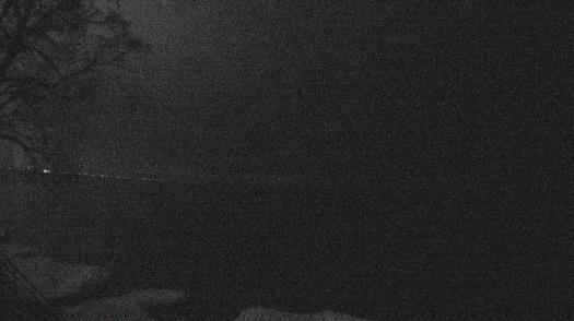 Weather camera view of Forest Lawn Beach.