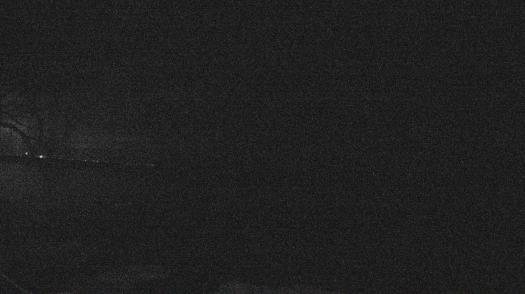 Weather camera view of Forest Lawn Beach.