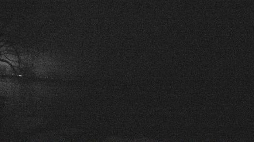 Weather camera view of Forest Lawn Beach.