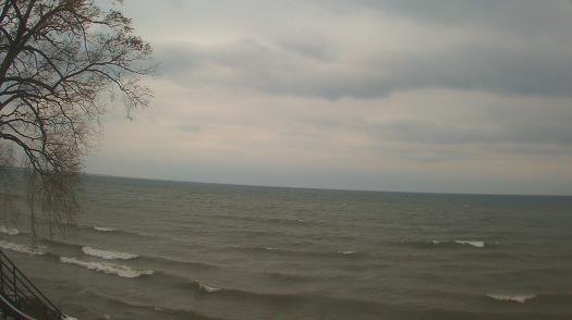 Weather camera view of Forest Lawn Beach.