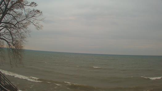 Weather camera view of Forest Lawn Beach.