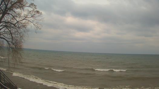 Weather camera view of Forest Lawn Beach.