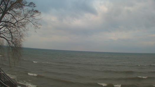 Weather camera view of Forest Lawn Beach.