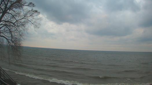 Weather camera view of Forest Lawn Beach.