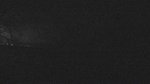 Weather camera view of Forest Lawn Beach.