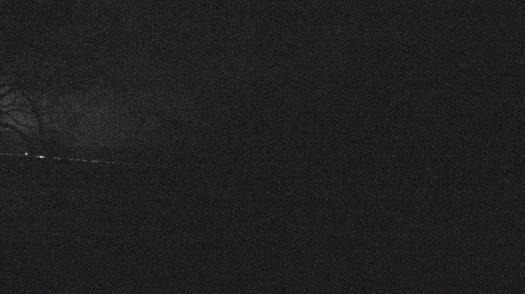 Weather camera view of Forest Lawn Beach.