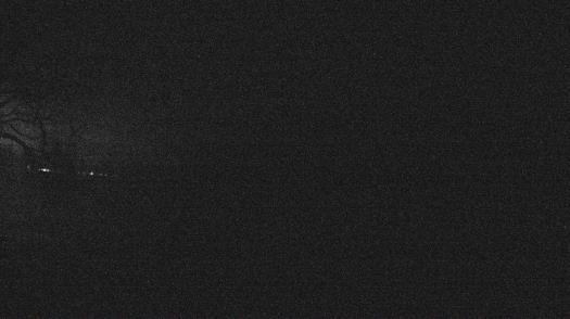 Weather camera view of Forest Lawn Beach.