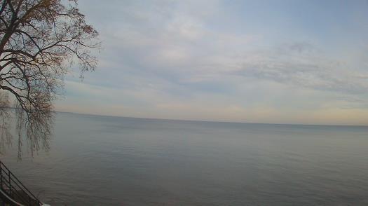 Weather camera view of Forest Lawn Beach.