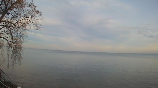 Weather camera view of Forest Lawn Beach.