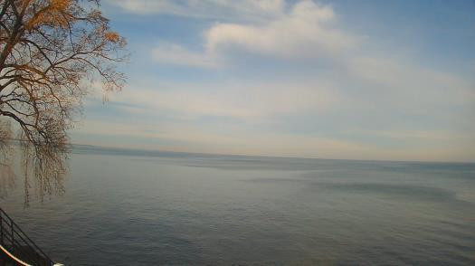 Weather camera view of Forest Lawn Beach.