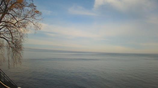 Weather camera view of Forest Lawn Beach.