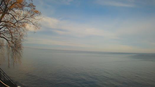 Weather camera view of Forest Lawn Beach.