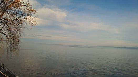 Weather camera view of Forest Lawn Beach.