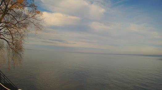 Weather camera view of Forest Lawn Beach.