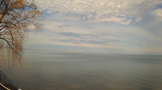 Weather camera view of Forest Lawn Beach.