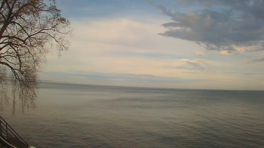 Weather camera view of Forest Lawn Beach.