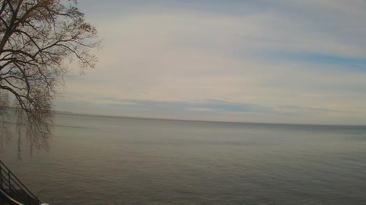 Weather camera view of Forest Lawn Beach.