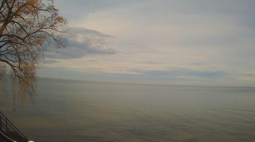 Weather camera view of Forest Lawn Beach.