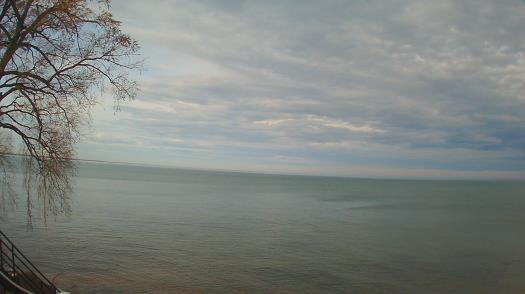 Weather camera view of Forest Lawn Beach.