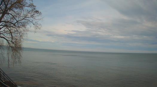 Weather camera view of Forest Lawn Beach.