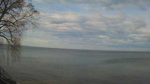 Weather camera view of Forest Lawn Beach.