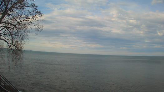 Weather camera view of Forest Lawn Beach.